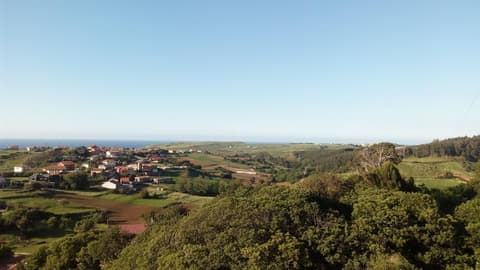 Posada Mediavia, Property grounds