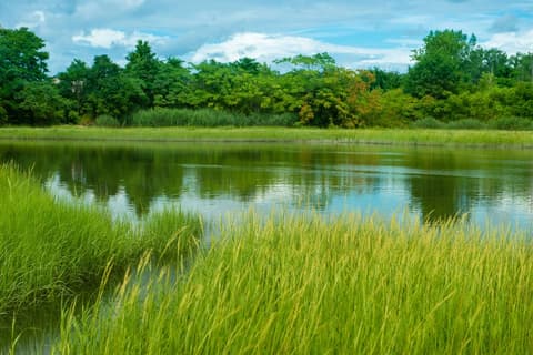 Holiday Inn Boston Logan Airport - Chelsea by IHG, Property grounds