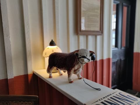 The Cluanie Inn, Lobby