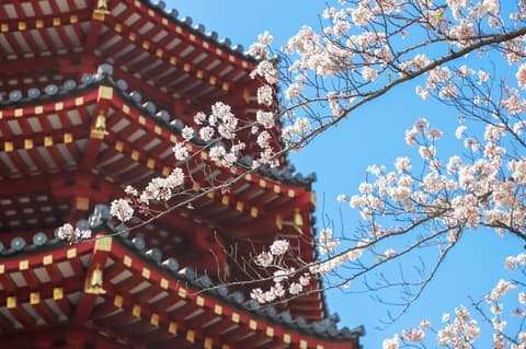 Kawasaki King Skyfront Tokyu REI Hotel, Bicycling