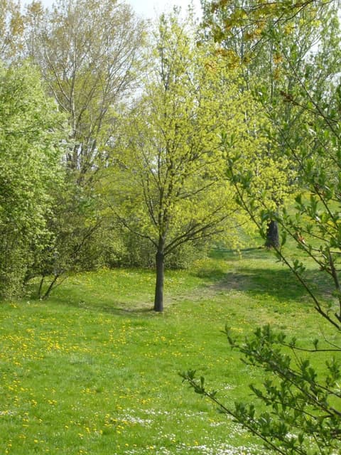 Hotel Good Rooms Guntramsdorf, Property grounds