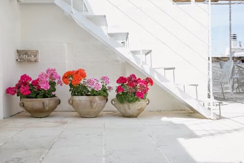 Domus Dejana, Exterior