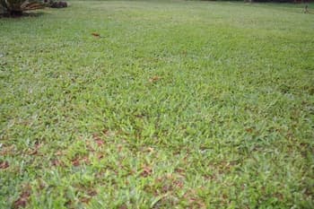 FERREIRA RESORT, Property grounds