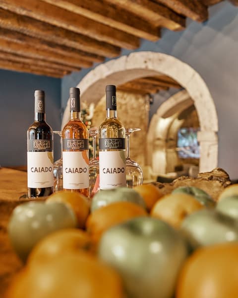 Dare Lisbon House, Lobby sitting area