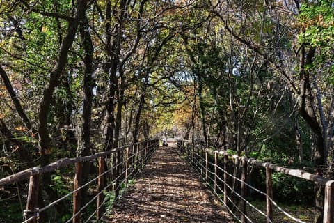 Sciddicu Room, Point of interest