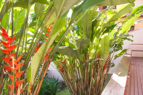 Pousada Blue Ocean, Interior detail