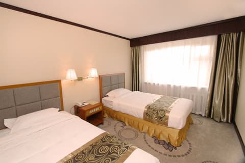 Flower Hotel Ulaanbaatar, Room