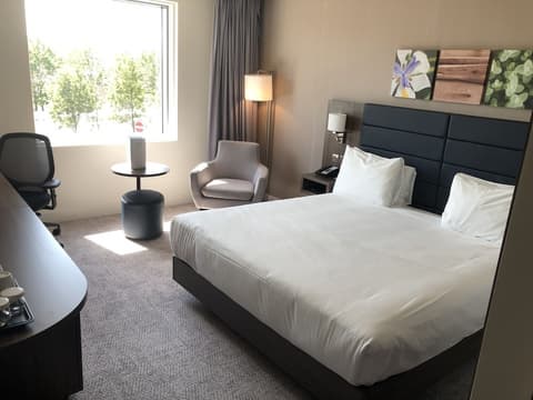 Hilton Garden Inn Birmingham Airport, Room