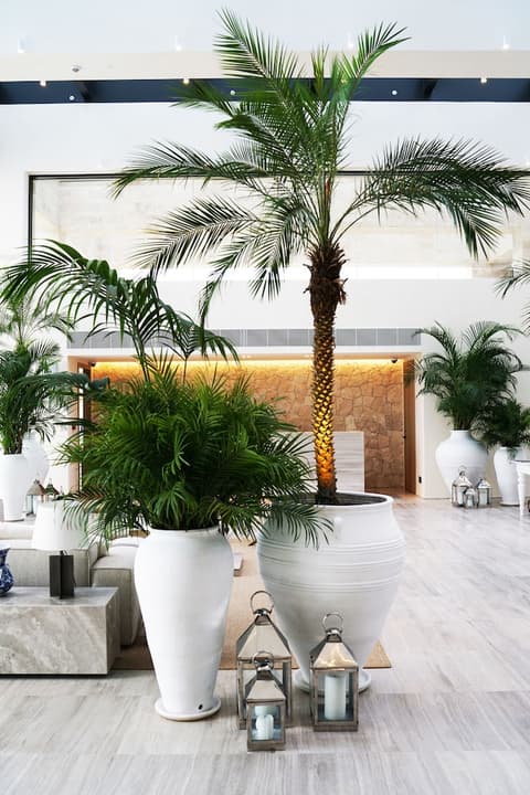 The Bodrum EDITION, Lobby