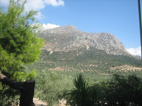 La Petite Planete, Property grounds