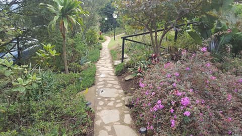 Veki's Village, Reception