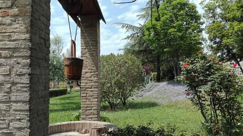 FLOS Guest House, Garden