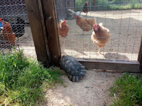 Tenuta Petra Bianca, Property grounds