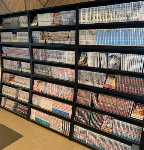 ibis Styles Tokyo Bay, Reception