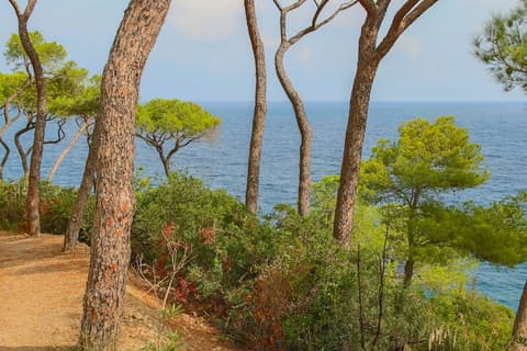 Allegroitalia Elba Capo d'Arco, Lobby sitting area