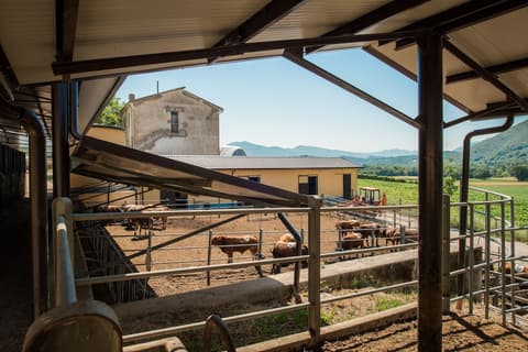 Fattoria Didattica La Collina Incantata, Property grounds