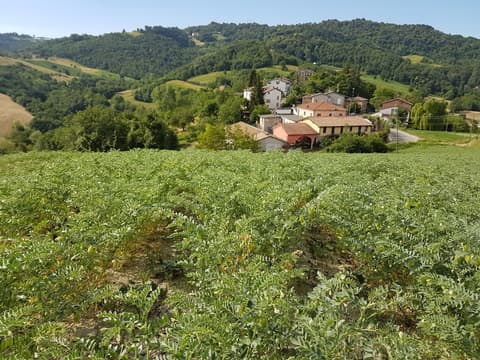 Agriturismo di Sordiglio, Garden