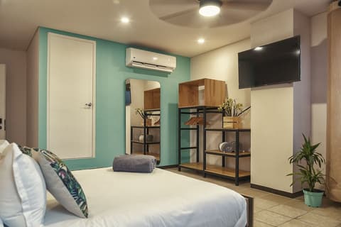 Mayan Monkey Los Cabos | Social Hotel, Room