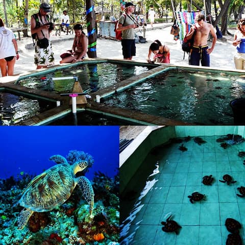 Sari Laut, Point of interest