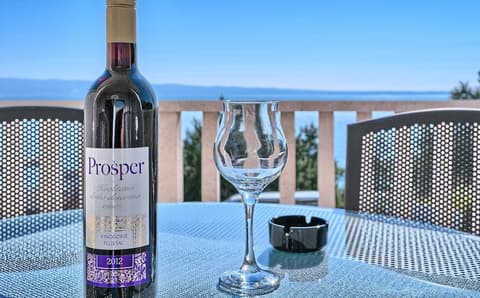 Stipe Residence, Terrace/patio