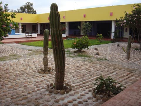 The Halfwaiy Inn, Property grounds