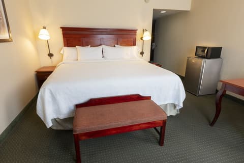Hampton Inn by Hilton Guadalajara-Aeropuerto, Room