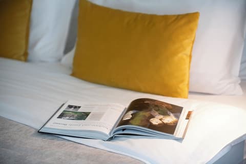 Mercure Belgrade Excelsior, Room