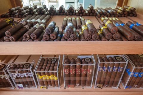 Malibu Foz Hotel - La Maison Younan, Lounge