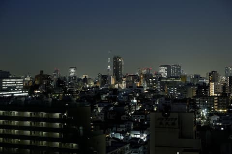 Sotetsu Fresa Inn Higashi Shinjuku, View from property