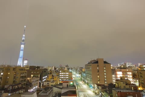 Hotel MyStays Asakusa, View from property