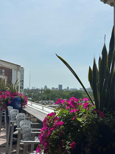 Moonrise Hotel, Bar (on property)