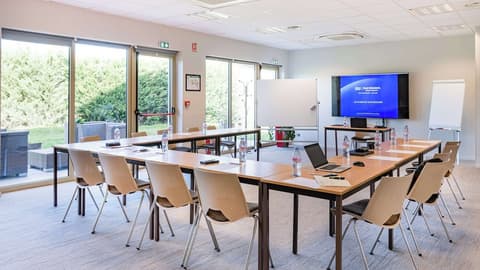 Best Western Hotel Des Barolles - Lyon Sud, Meeting facility