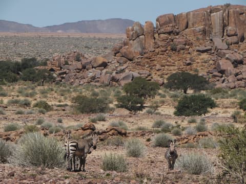 Canyon Lodge, Safari