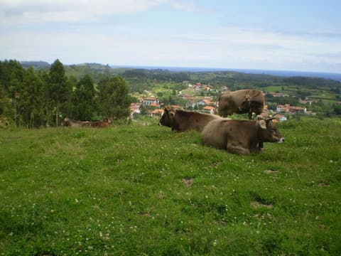 Casa de Aldea Ruiloba, Property grounds