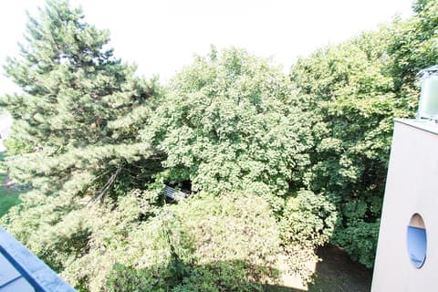 Apartment Hofwiesengasse, Garden view