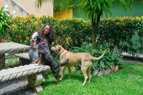 Hotel Casa Rustica, Pet-friendly