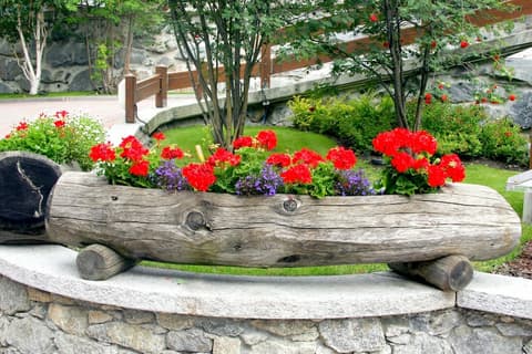 Hotel Sant Anton, Garden