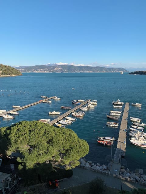 Hotel Paradiso, Room