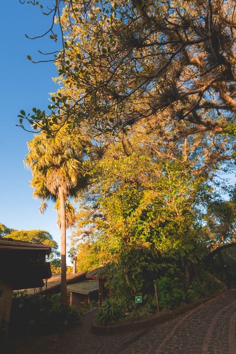 Finca Rosa Blanca Coffee Farm and Inn, Lobby