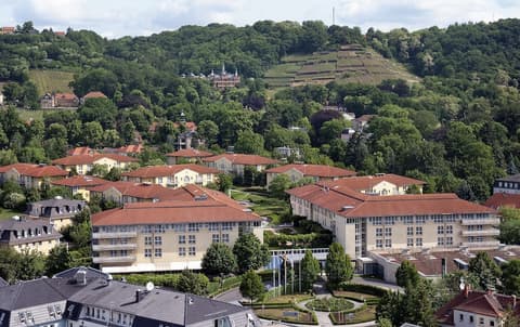 City Hotel Dresden Radebeul, Vineyard
