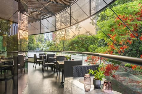 NH Collection Guadalajara Providencia, Restaurant