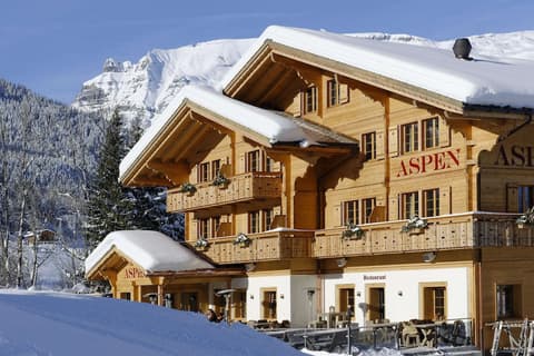 Aspen alpin lifestyle hotel Grindelwald, Room