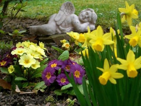 Hotel Haus am Park, Property grounds