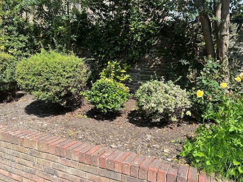 Waterloo Townhouse & Suites, Room