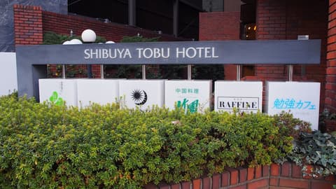 Shibuya Tobu Hotel, Exterior detail