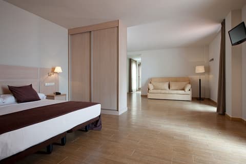 Hotel Balneario Areatza, Room