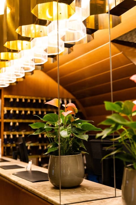 Hotel Royal, Reception