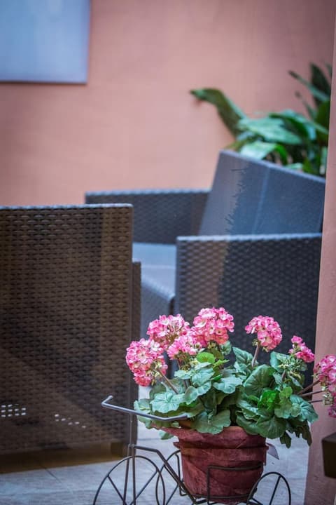 Europa, Property grounds