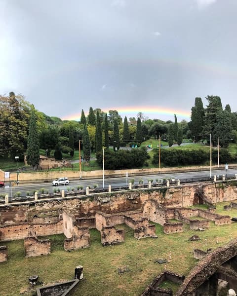 Royal Rooms Colosseo, Miscellaneous