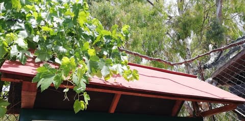 Camping Valle Dei Templi, Terrace/patio